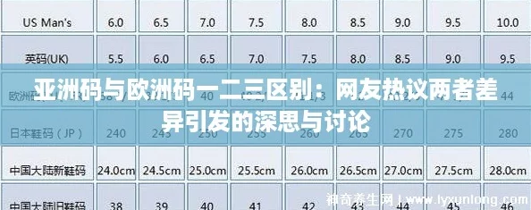 亚洲码与欧洲码一二三区别：网友热议两者差异引发的深思与讨论