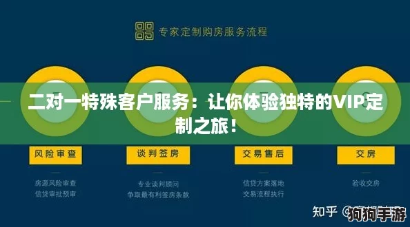 二对一特殊客户服务：让你体验独特的VIP定制之旅！