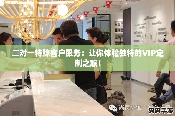 二对一特殊客户服务:让你体验独特的VIP定制之旅! 二对一特殊客户服务:让你体验独特的VIP定制之旅!