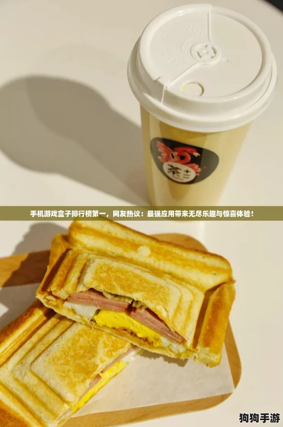 手机游戏盒子排行榜第一，网友热议：最强应用带来无尽乐趣与惊喜体验！