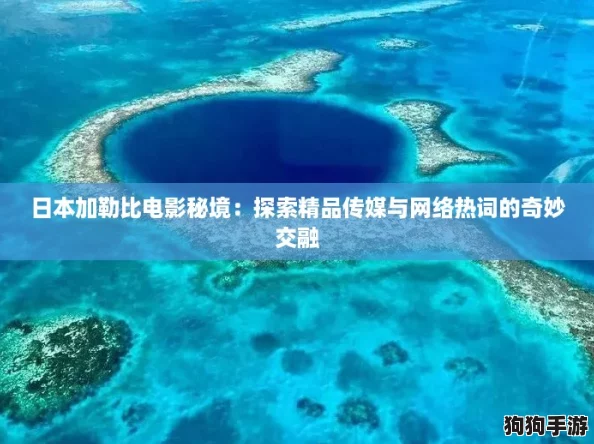 日本加勒比电影秘境：探索精品传媒与网络热词的奇妙交融