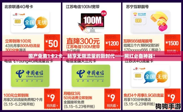 国产免费1卡2卡，畅享无限流量的新时代——网红必备神器！