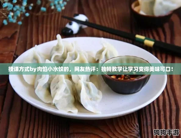授课方式by肉馅小水饺的，网友热评：独特教学让学习变得美味可口！