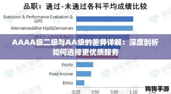 AAAA级二级与AA级的差异详解：深度剖析如何选择更优质服务