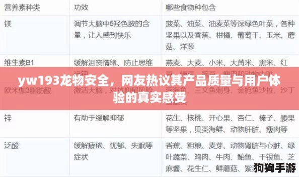 yw193龙物安全，网友热议其产品质量与用户体验的真实感受