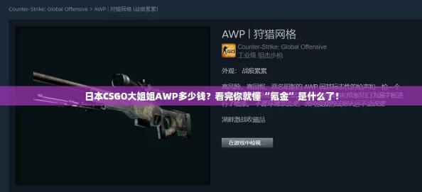 日本CSGO大姐姐AWP多少钱？看完你就懂“氪金”是什么了！