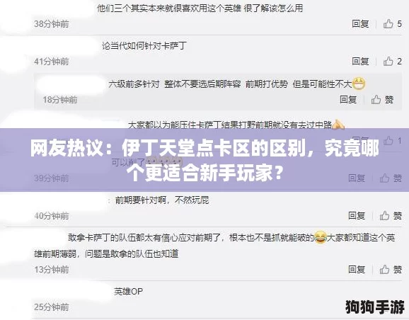 网友热议：伊丁天堂点卡区的区别，究竟哪个更适合新手玩家？