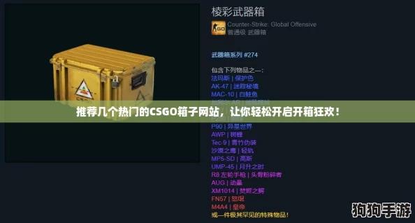 推荐几个热门的CSGO箱子网站，让你轻松开启开箱狂欢！