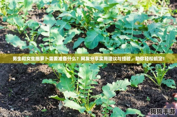 男生和女生抱萝卜需要准备什么？网友分享实用建议与经验，助你轻松搞定！