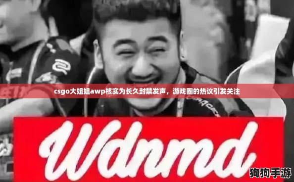 csgo大姐姐awp核实为长久封禁发声，游戏圈的热议引发关注