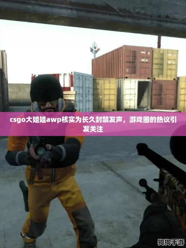 csgo大姐姐awp核实为长久封禁发声，游戏圈的热议引发关注