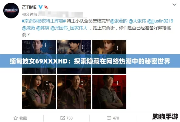 缅甸妓女69XXXHD：探索隐藏在网络热潮中的秘密世界