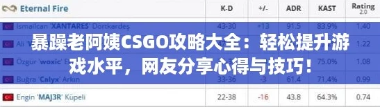 暴躁老阿姨CSGO攻略大全：轻松提升游戏水平，网友分享心得与技巧！