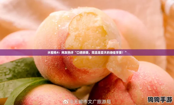 水蜜桃4：网友热评“口感鲜美，简直是夏天的绝佳享受！”