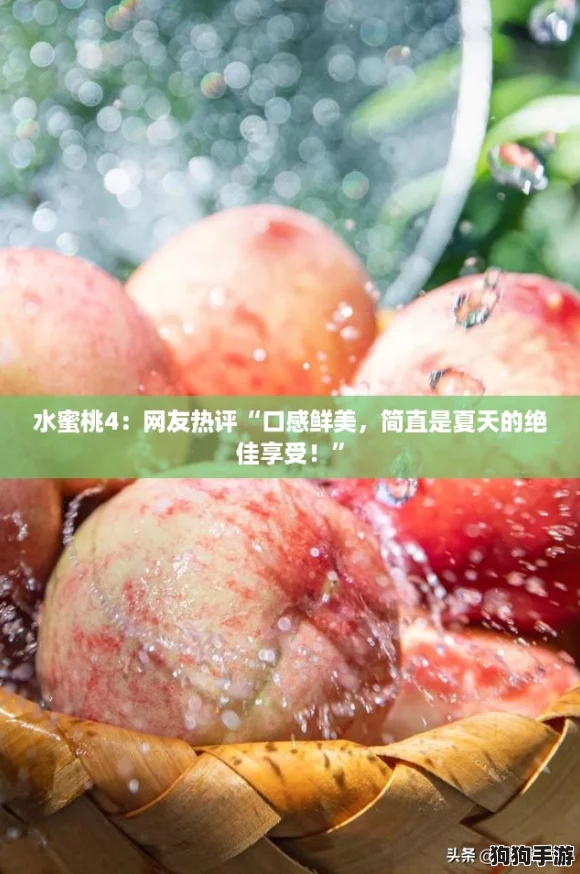 水蜜桃4：网友热评“口感鲜美，简直是夏天的绝佳享受！”