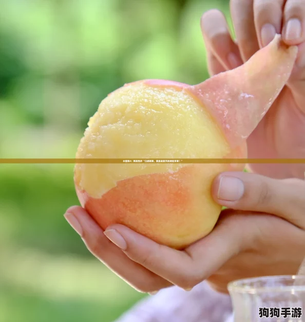 水蜜桃4：网友热评“口感鲜美，简直是夏天的绝佳享受！”