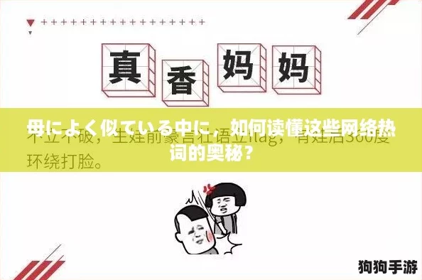 母によく似ている中に，如何读懂这些网络热词的奥秘？
