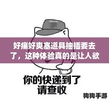 好痛好爽塞道具抽插要去了，这种体验真的是让人欲罢不能，刺激又满足！