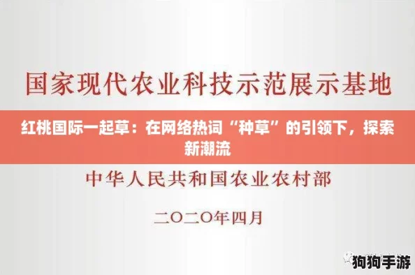 红桃国际一起草：在网络热词“种草”的引领下，探索新潮流