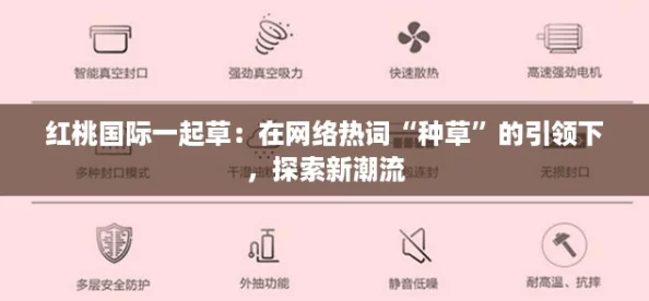 红桃国际一起草:在网络热词“种草”的引领下,探索新潮流 红桃国际一起草:在网络热词“种草”的引领下,探索新潮流