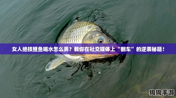 女人绝技鲤鱼喝水怎么弄？教你在社交媒体上“翻车”的逆袭秘籍！