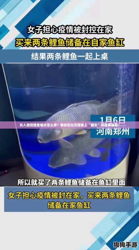女人绝技鲤鱼喝水怎么弄？教你在社交媒体上“翻车”的逆袭秘籍！