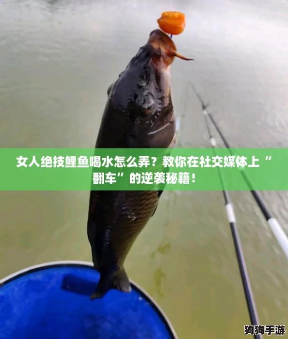 女人绝技鲤鱼喝水怎么弄？教你在社交媒体上“翻车”的逆袭秘籍！