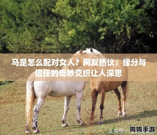 马是怎么配对女人?网友热议:缘分与信任的奇妙交织让人深思 马是怎么配对女人?网友热议:缘分与信任的奇妙交织让人深思