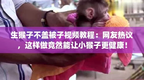 生猴子不盖被子视频教程：网友热议，这样做竟然能让小猴子更健康！