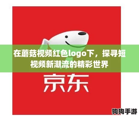 在蘑菇视频红色logo下，探寻短视频新潮流的精彩世界