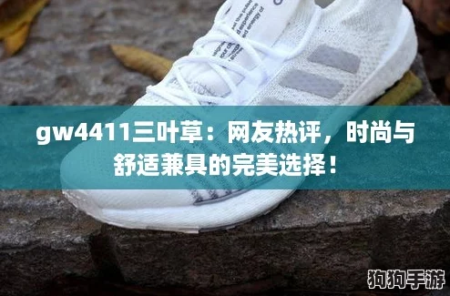 gw4411三叶草：网友热评，时尚与舒适兼具的完美选择！