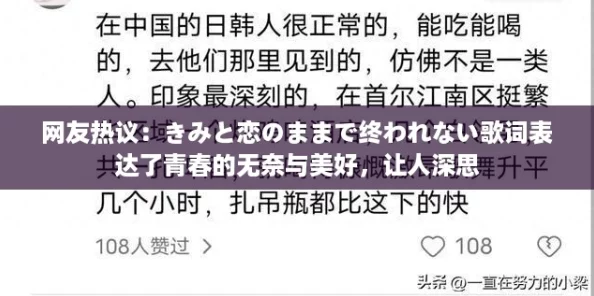 网友热议：きみと恋のままで终われない歌词表达了青春的无奈与美好，让人深思