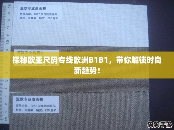 探秘欧亚尺码专线欧洲B1B1，带你解锁时尚新趋势！