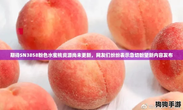 期待SN3858粉色水蜜桃资源尚未更新，网友们纷纷表示急切盼望新内容发布