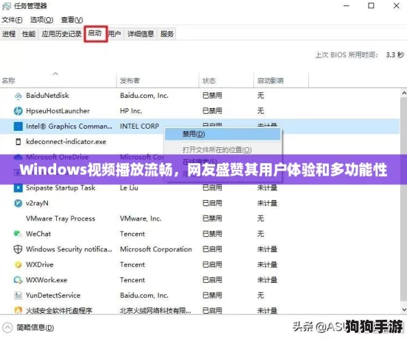 Windows视频播放流畅，网友盛赞其用户体验和多功能性