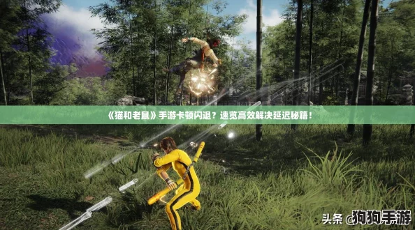 《猫和老鼠》手游卡顿闪退？速览高效解决延迟秘籍！