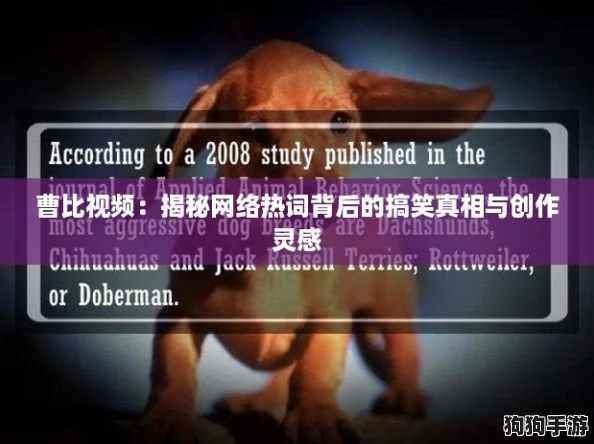 曹比视频：揭秘网络热词背后的搞笑真相与创作灵感