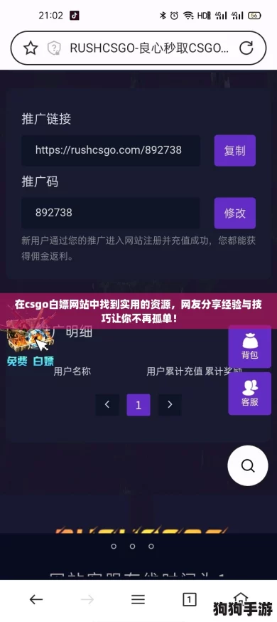 在csgo白嫖网站中找到实用的资源，网友分享经验与技巧让你不再孤单！