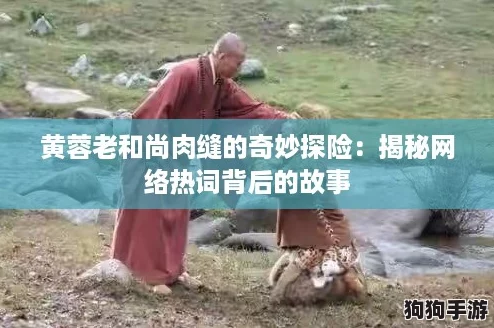 黄蓉老和尚肉缝的奇妙探险：揭秘网络热词背后的故事