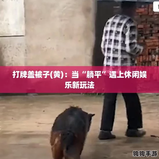 打牌盖被子(黄)：当“躺平”遇上休闲娱乐新玩法