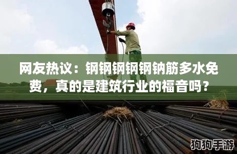 网友热议：钢钢钢钢钢钠筋多水免费，真的是建筑行业的福音吗？