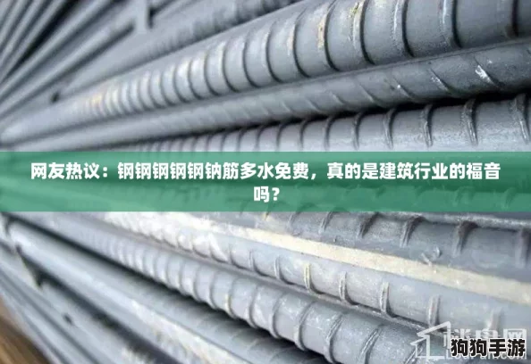 网友热议:钢钢钢钢钢钠筋多水免费,真的是建筑行业的福音吗? 网友热议:钢钢钢钢钢钠筋多水免费,真的是建筑行业的福音吗?