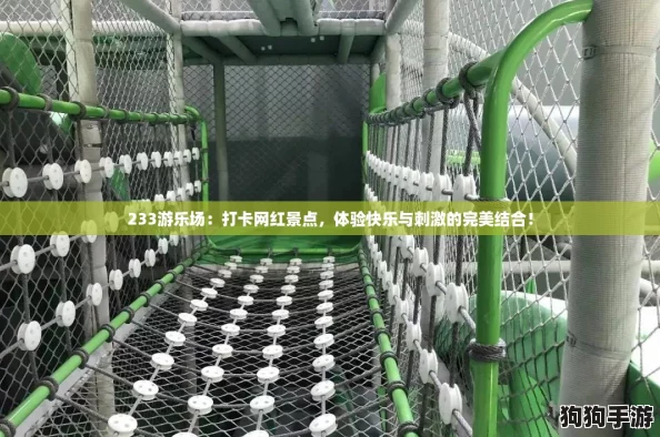 233游乐场:打卡网红景点,体验快乐与刺激的完美结合! 233游乐场:打卡网红景点,体验快乐与刺激的完美结合!