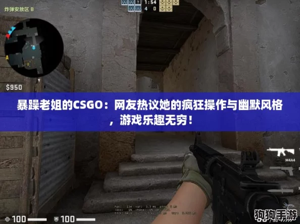 暴躁老姐的CSGO：网友热议她的疯狂操作与幽默风格，游戏乐趣无穷！