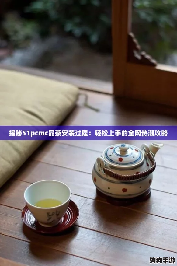 揭秘51pcmc品茶安装过程：轻松上手的全网热潮攻略