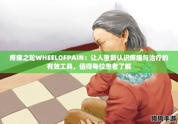 疼痛之轮WHEELOFPAIN:让人重新认识疼痛与治疗的有效工具,值得每位患者了解 疼痛之轮WHEELOFPAIN:让人重新认识疼痛与治疗的有效工具,值得每位患者了解