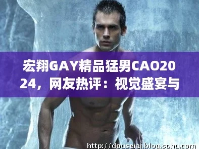 宏翔GAY精品猛男CAO2024，网友热评：视觉盛宴与情感深度的完美结合！