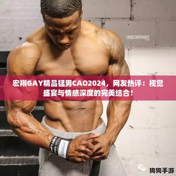 宏翔GAY精品猛男CAO2024,网友热评:视觉盛宴与情感深度的完美结合! 宏翔GAY精品猛男CAO2024,网友热评:视觉盛宴与情感深度的完美结合!