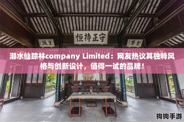 潮水仙踪林company Limited：网友热议其独特风格与创新设计，值得一试的品牌！