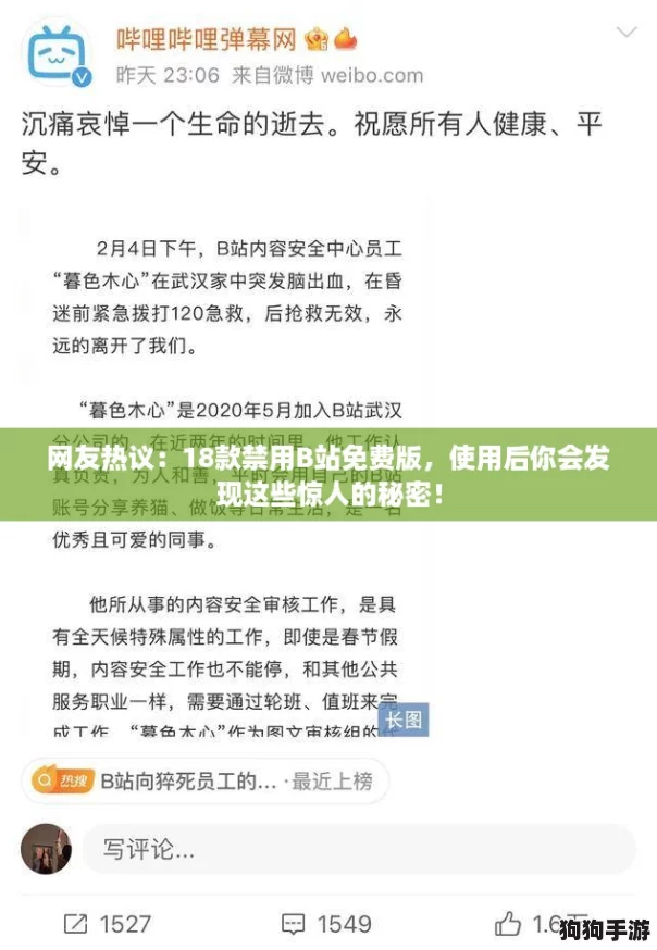 网友热议:18款禁用B站免费版,使用后你会发现这些惊人的秘密! 网友热议:18款禁用B站免费版,使用后你会发现这些惊人的秘密!
